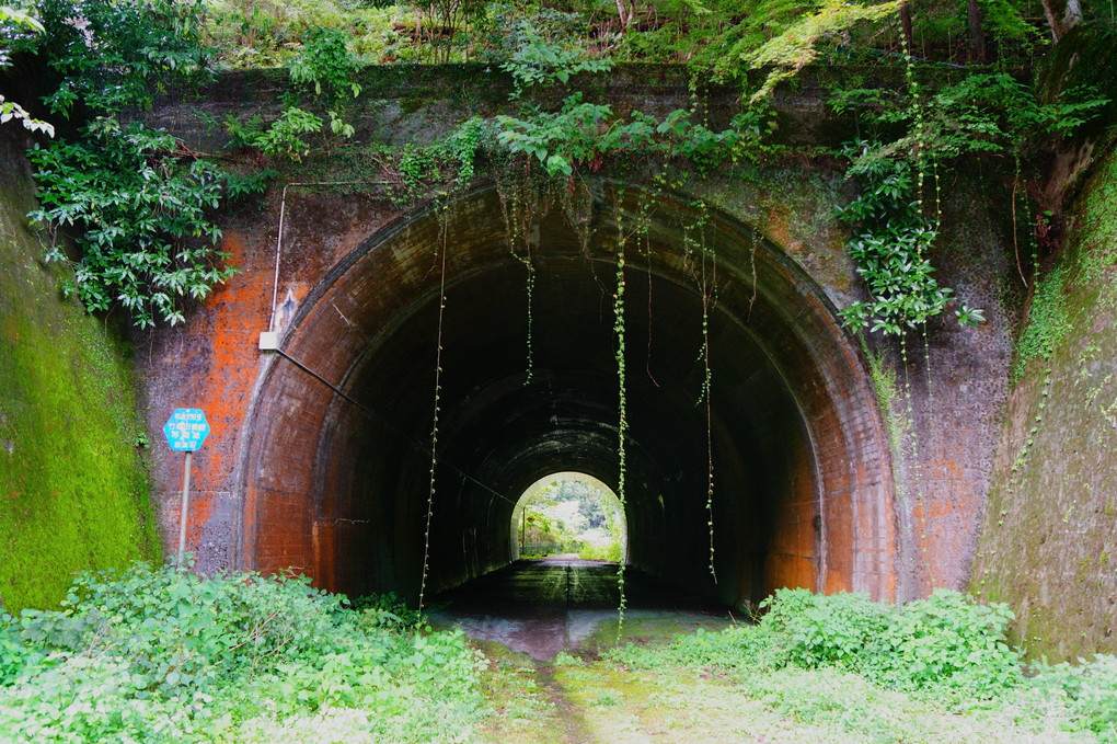魅惑のトンネル
