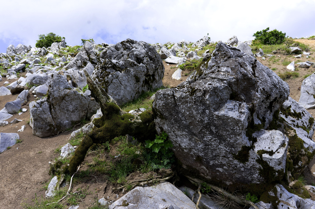 米原・霊仙山にて