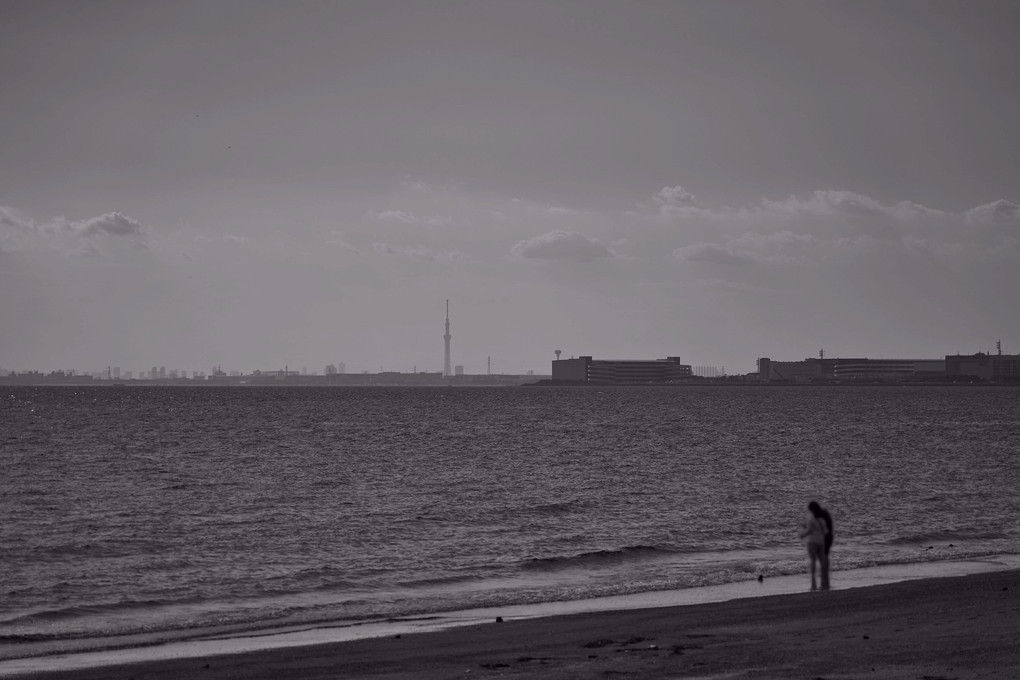 Romantic SKYTREE