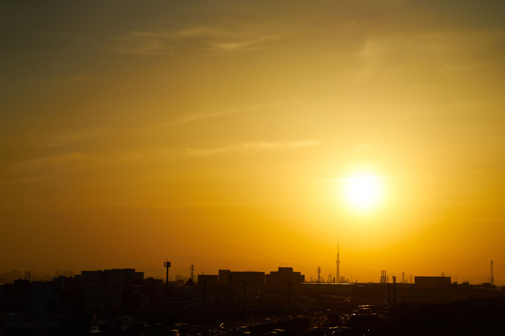 スカイツリー　春の夕暮れ