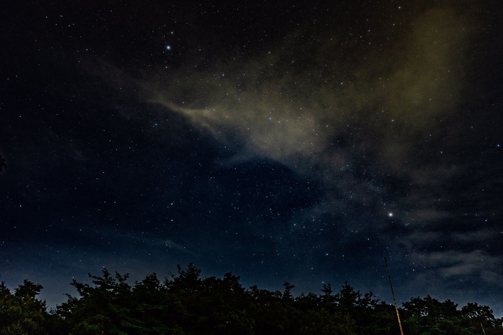 夜空への羽ばたき