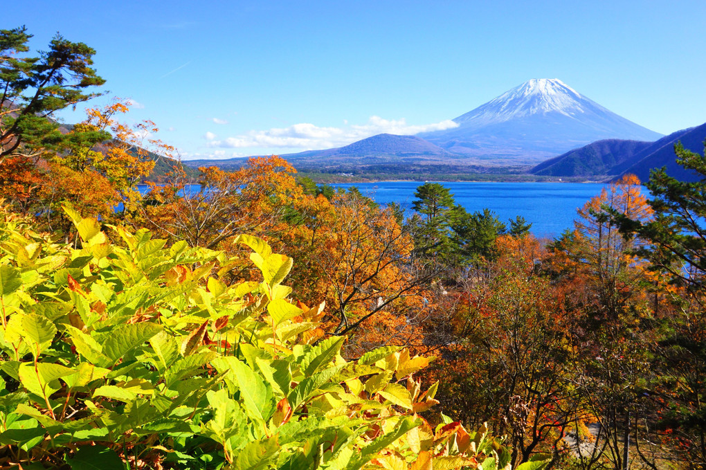 富士山(本栖湖)