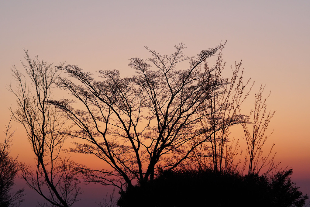 あの日の夕暮れ