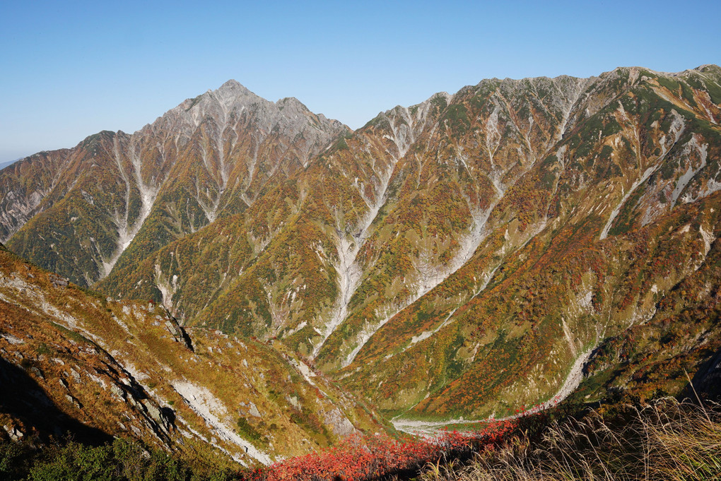 立山の紅葉と黄葉