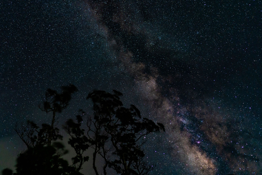 切り取る星空