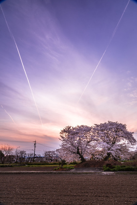 桜塚と夕焼航路