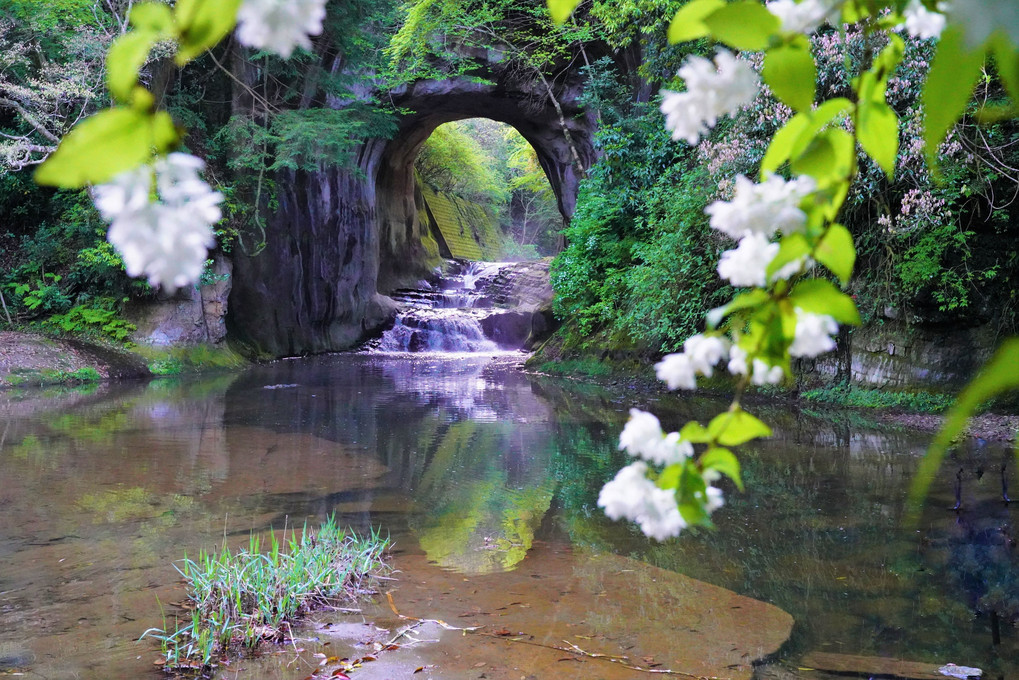 濃溝の滝・花を添えて・・