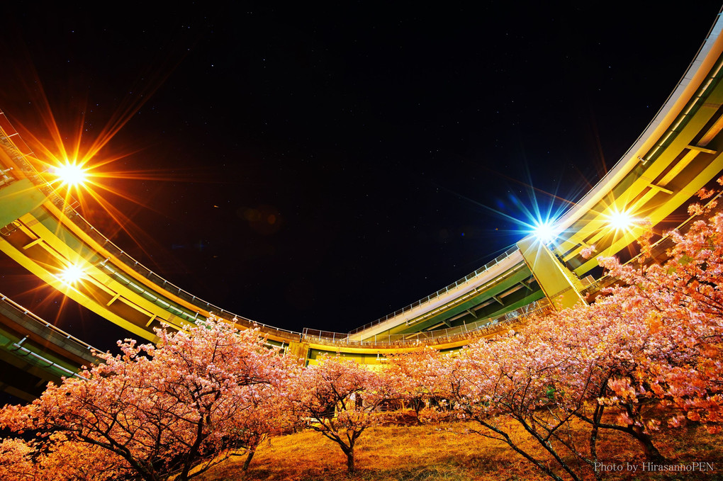 ループ橋の春夜景