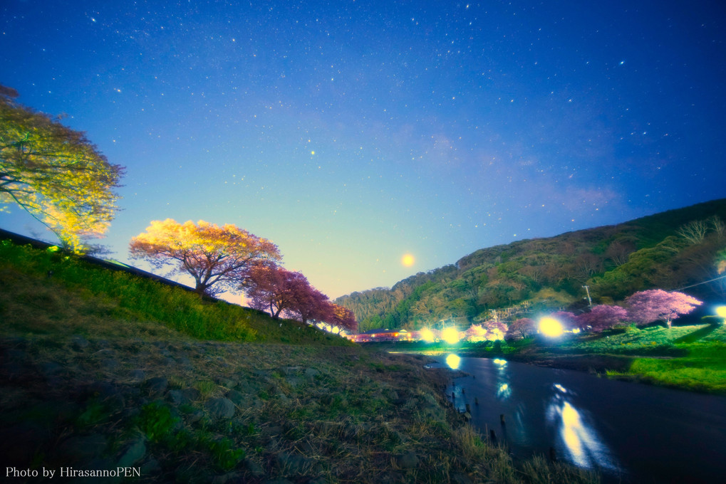 河津桜と夜空.・*★