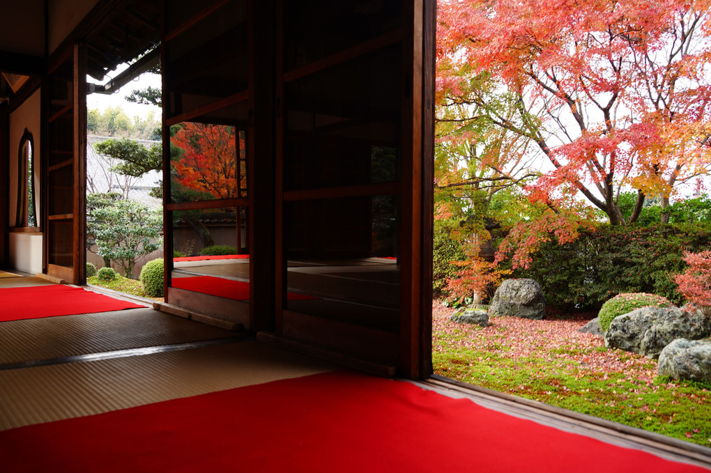 古都の紅葉