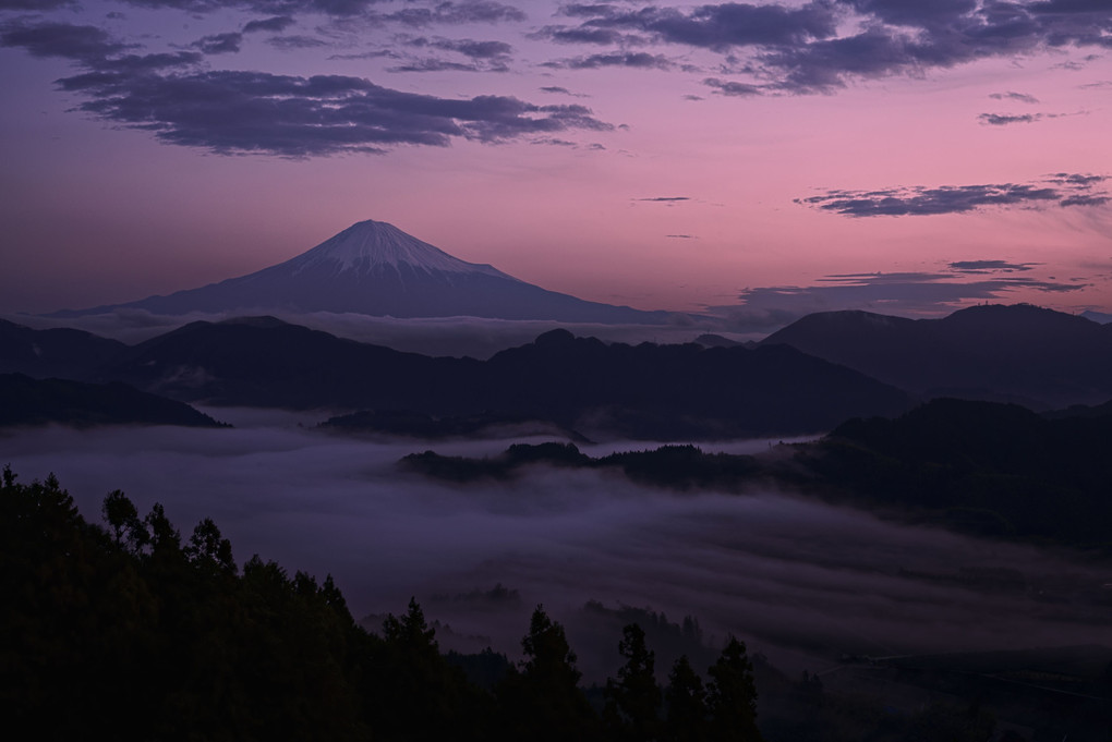 静岡吉原雲海