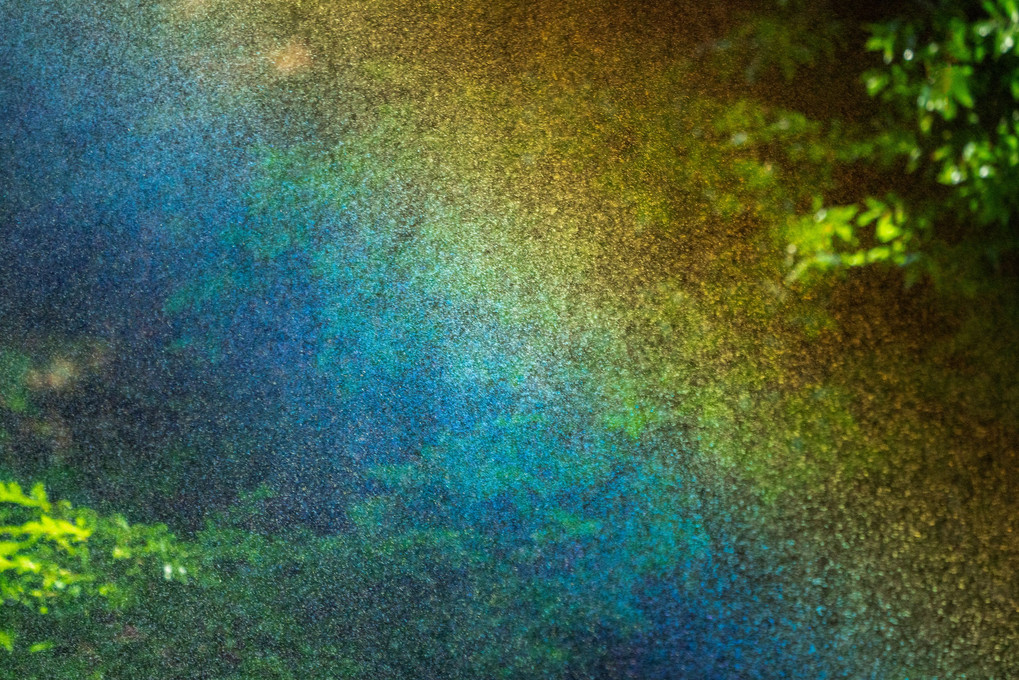 森の虹粒