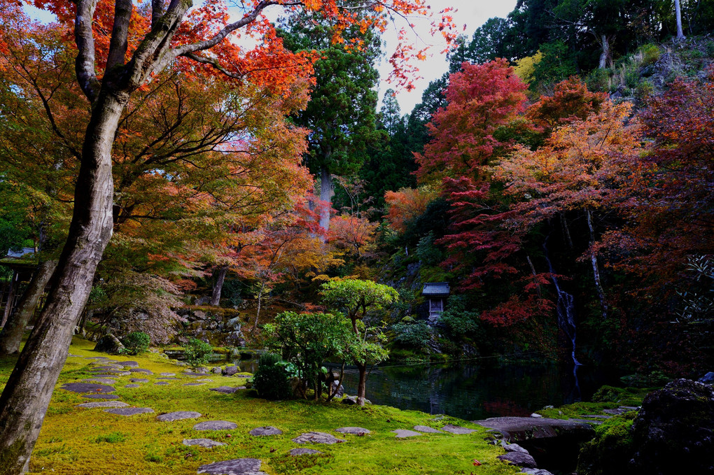 秋の慈恩禅寺