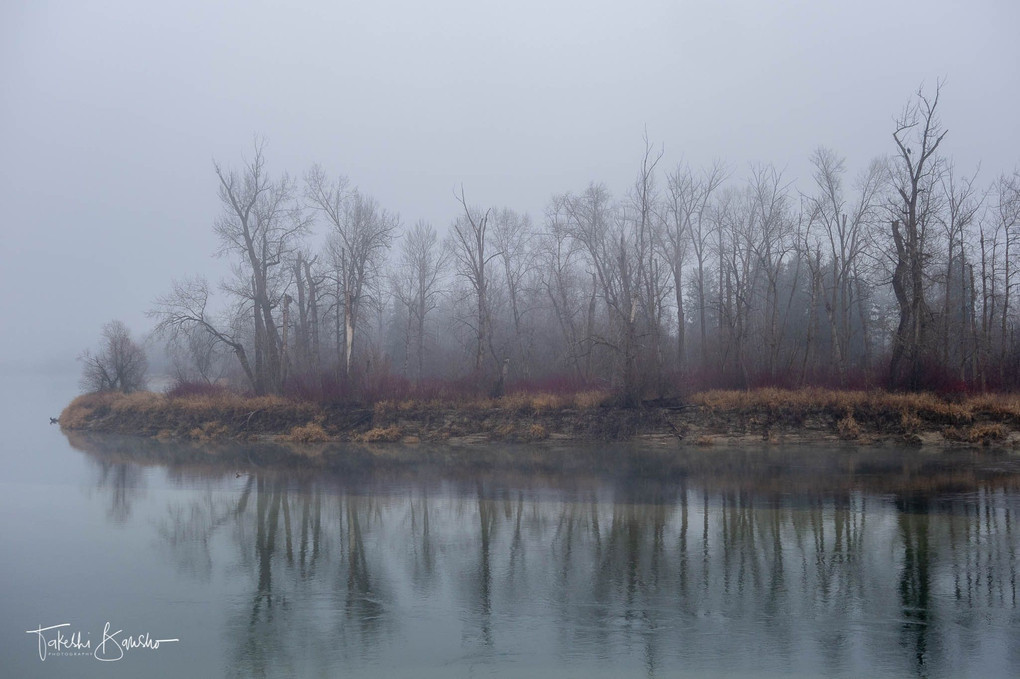 霧の川辺