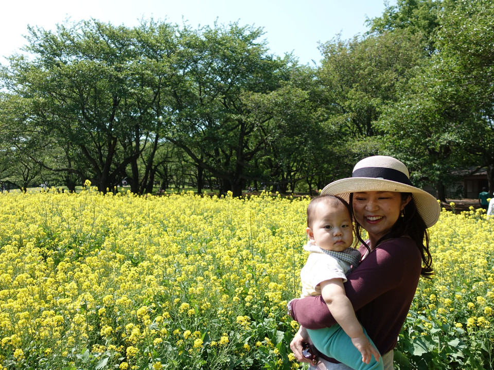 菜の花畑 in 昭和記念公園