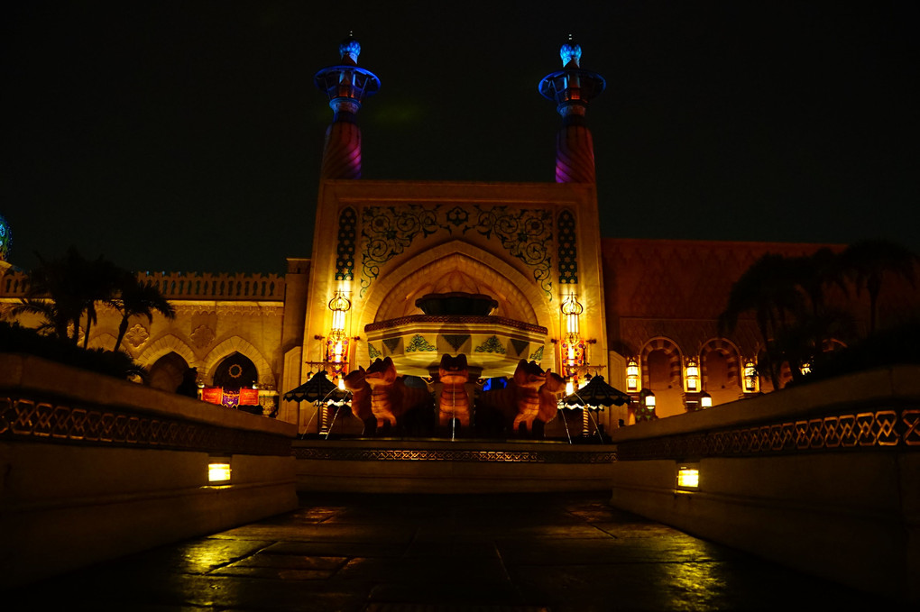 An Arabian Night
