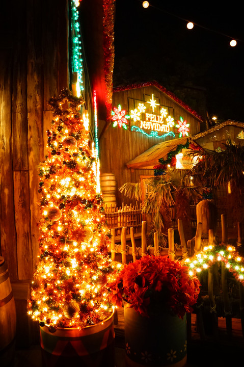 Disney Christmas Lights