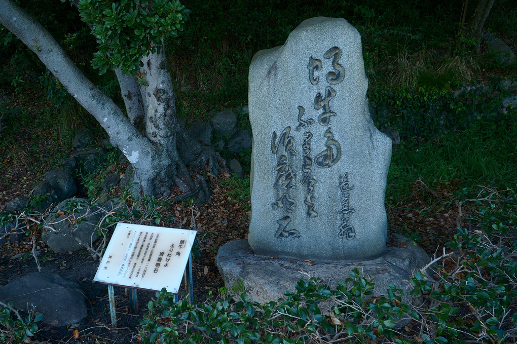 くつろぎ芭蕉