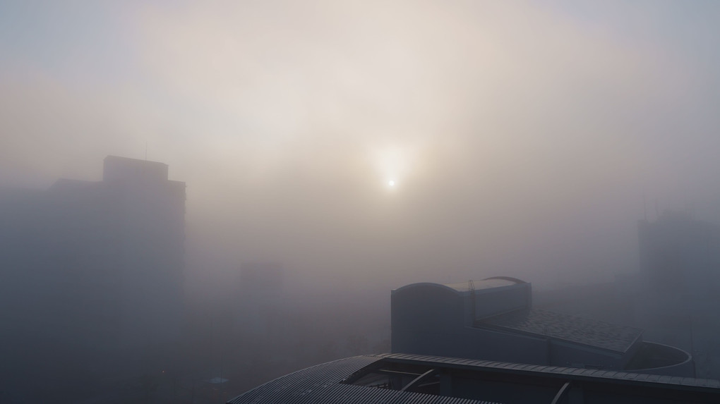 霧の朝の太陽