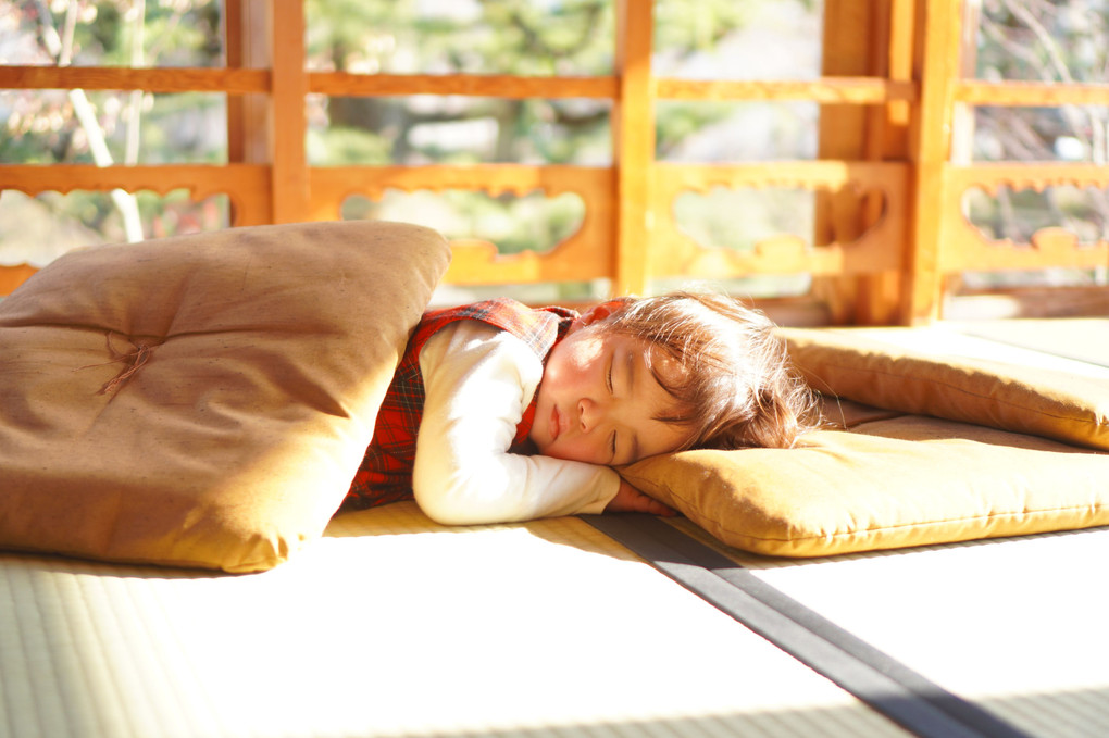 暖かな日差しの中で・・・