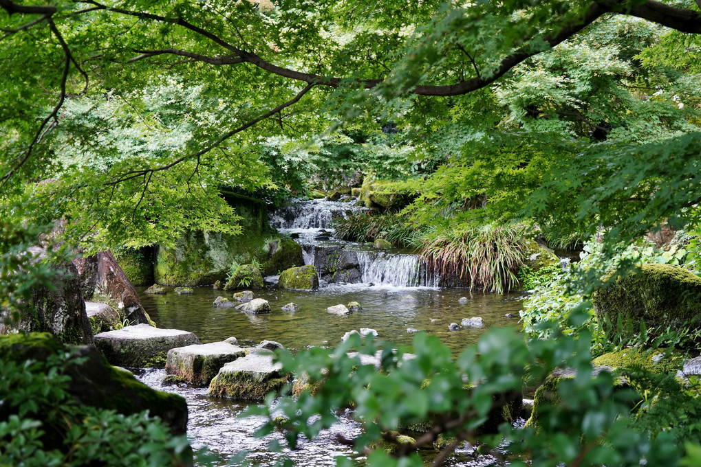緑の庭園　京都７月