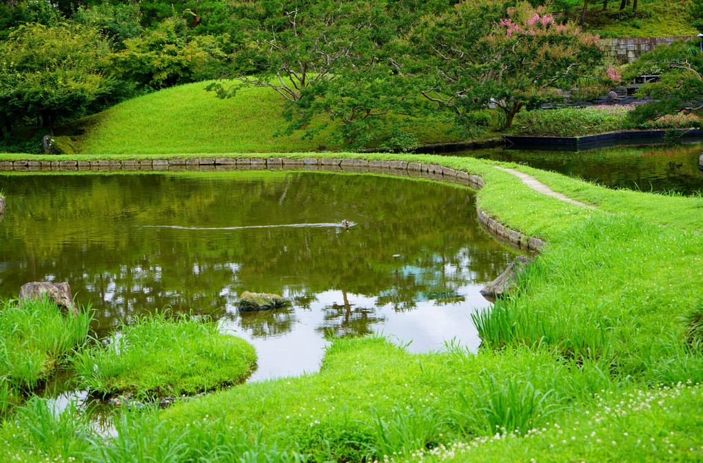 緑の庭園　京都７月