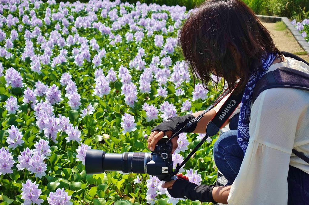 猛暑の中、京都からカメラ女子様