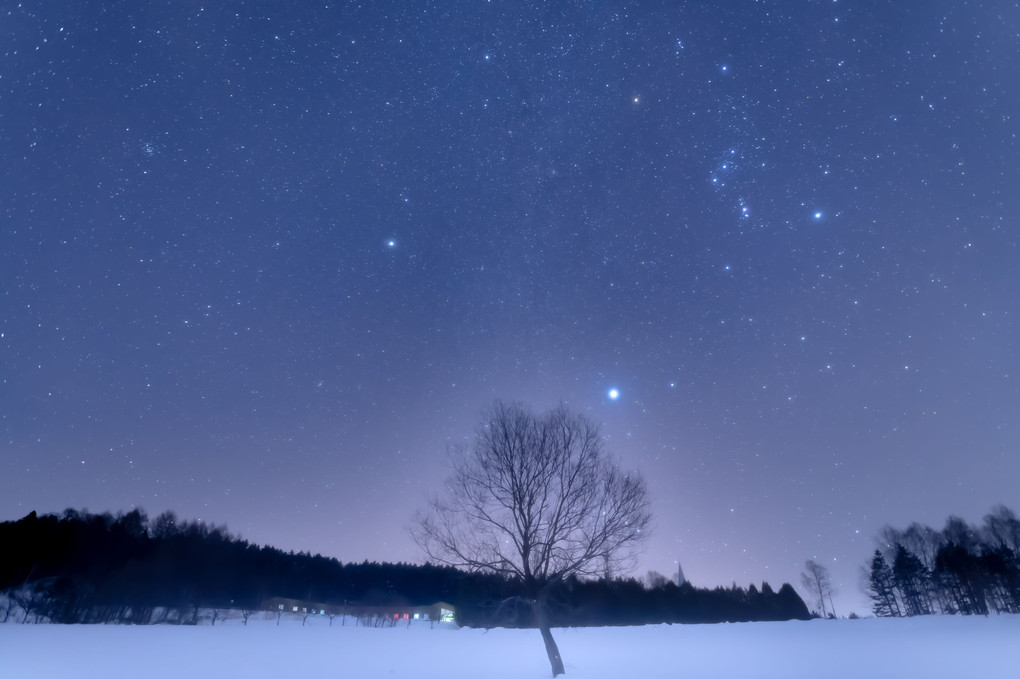 北海道の冬星