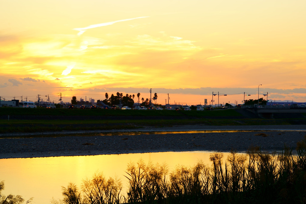 川辺の夕景