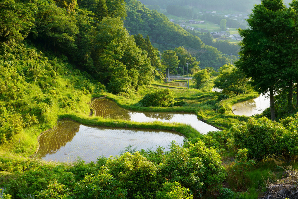 山里の風景