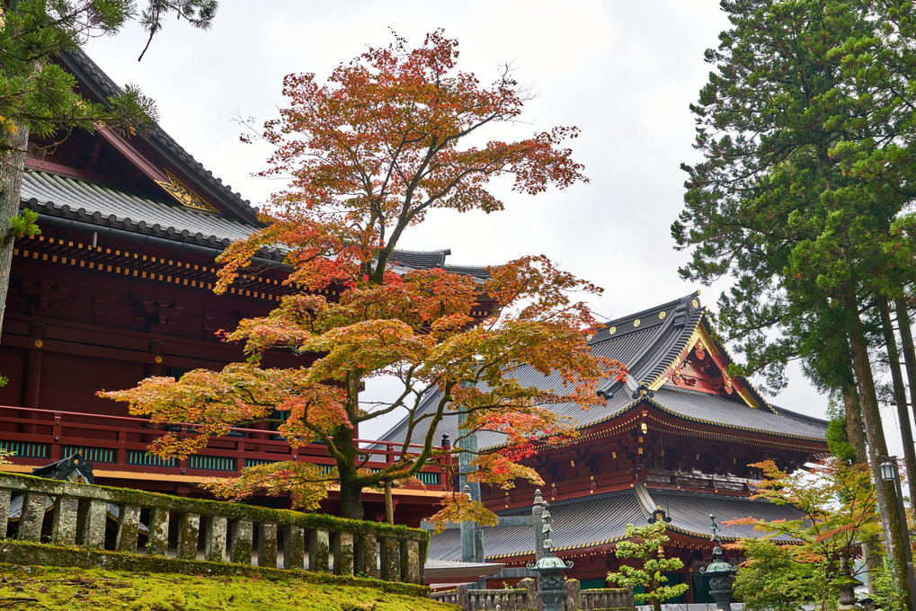 日光東照宮周辺の紅葉