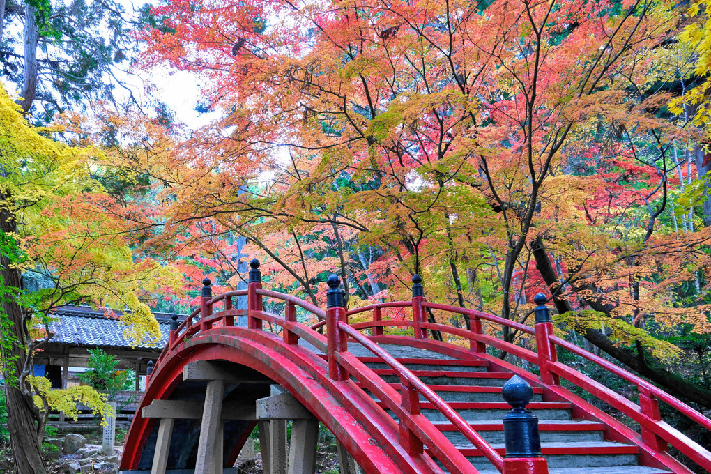 広島の今高野山龍華寺です。紅葉がとてもきれいでした。