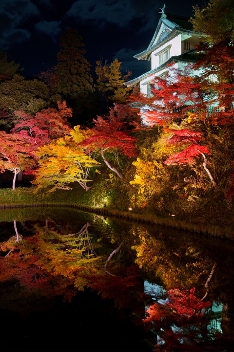 弘前城菊と紅葉まつり リフレクション