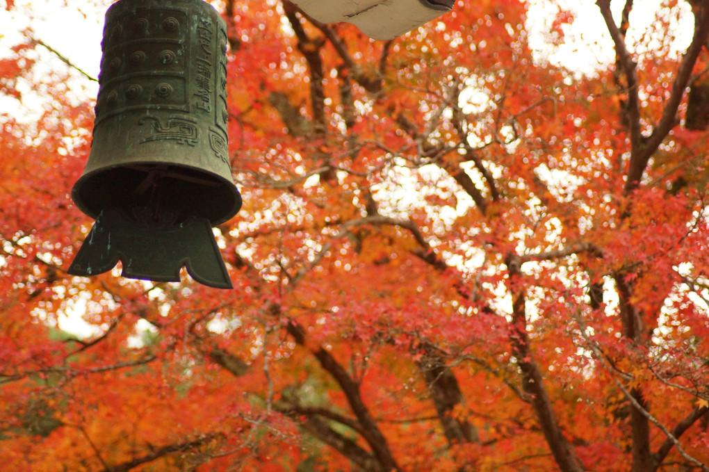 秋と鐘