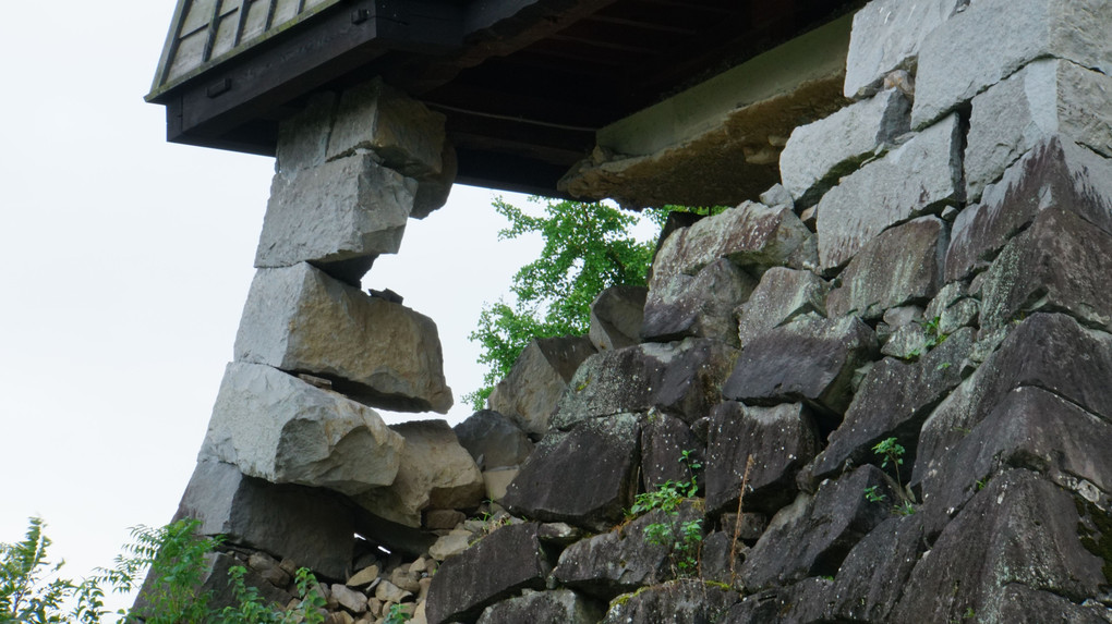 定点観測。熊本城。