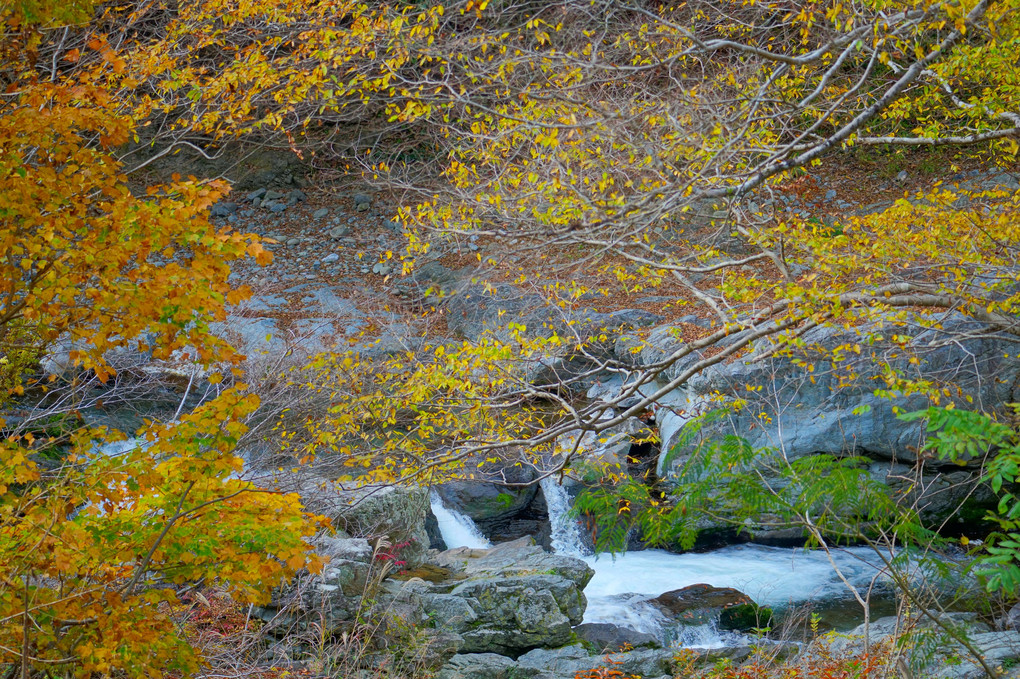 紅葉の秋川渓谷