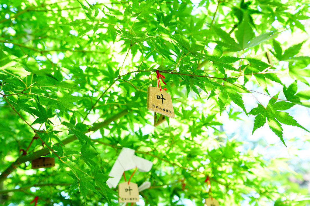 足袋のまち～行田～花手水のまち