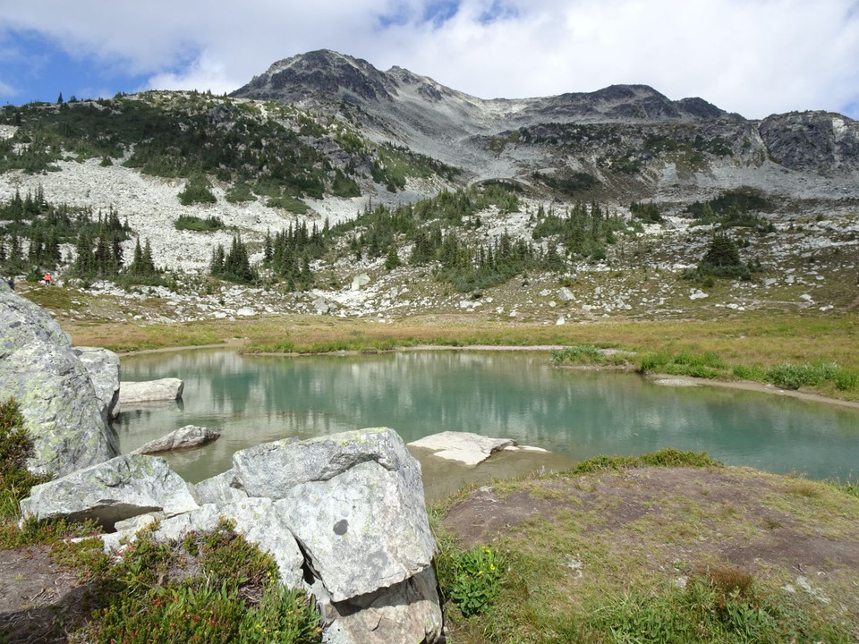 pale green waters of Black comb Lake