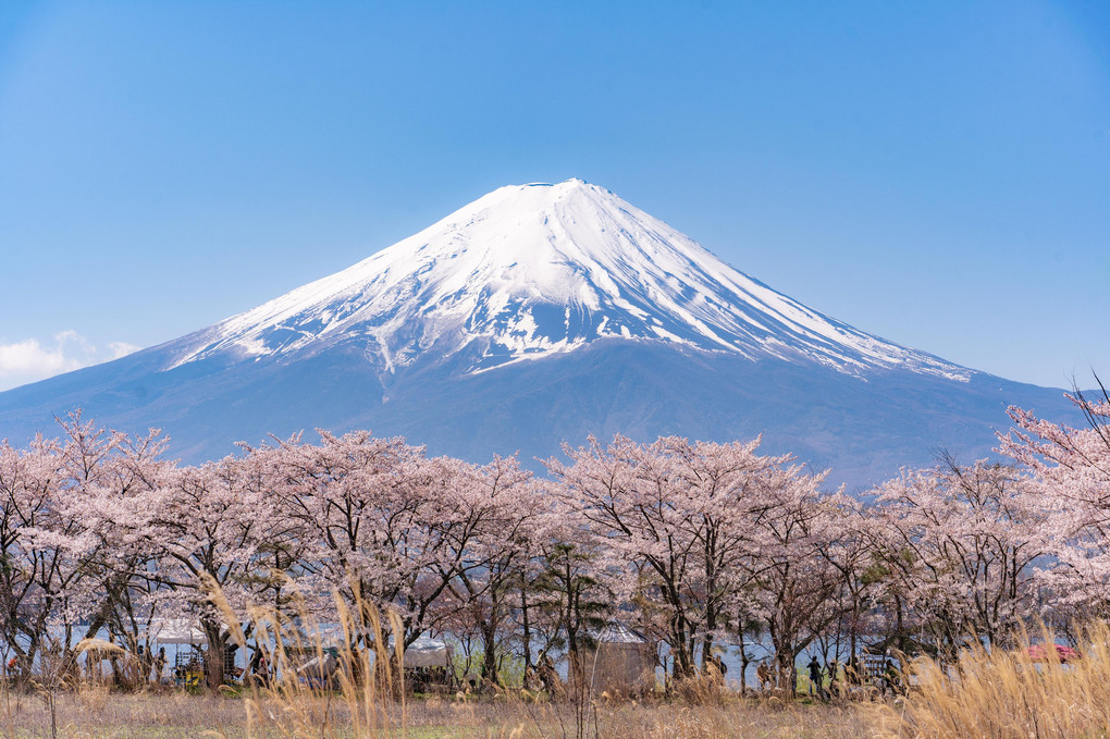 Mt.Fuji