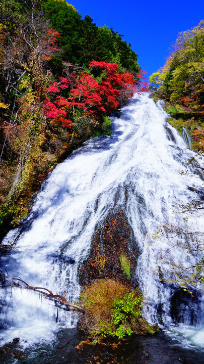 日光、紅葉、見頃♪