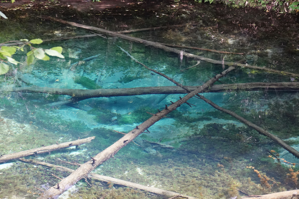 神の子池