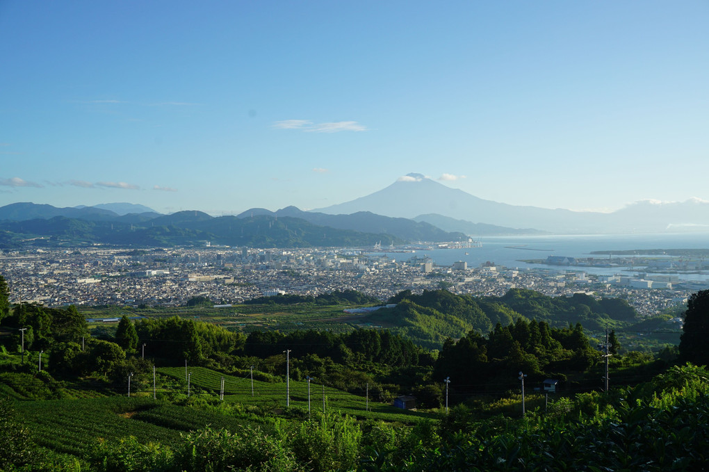 日本平より望む富士山と清水港
