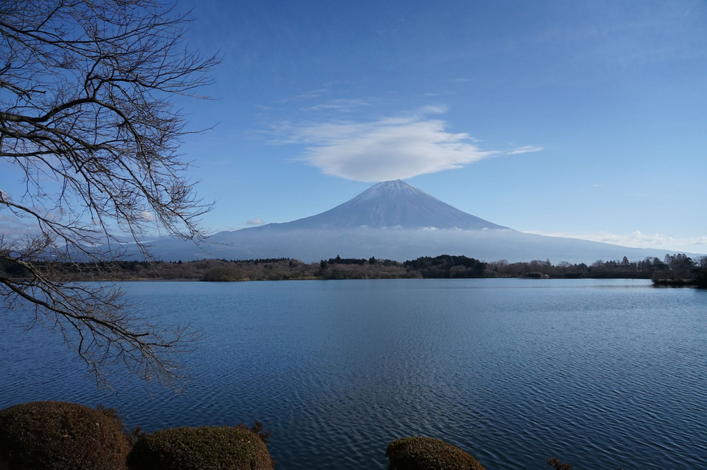 Lake Tanuki