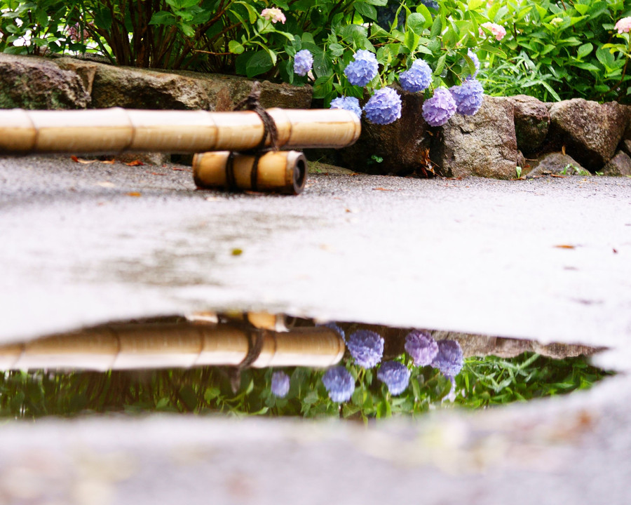 雨あがりの情景