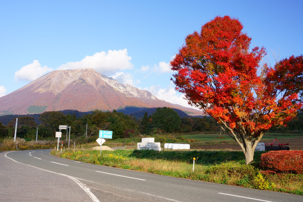 秋深まる伯耆富士