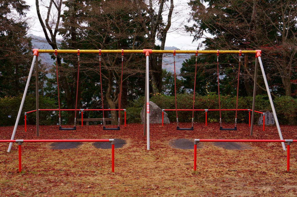 晩秋を感じる早朝の公園