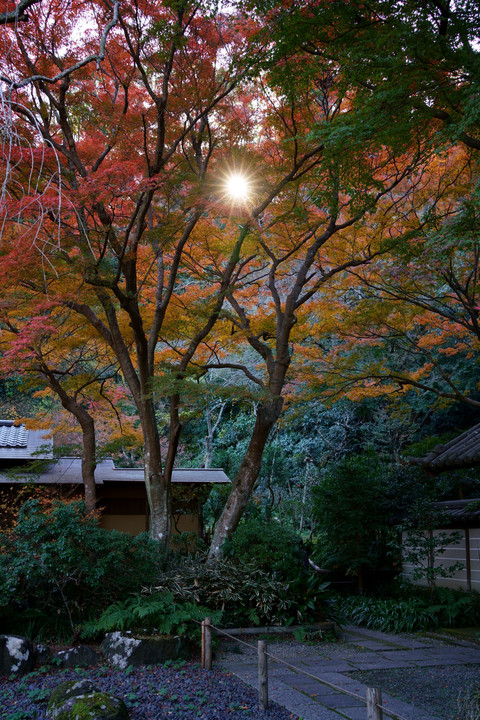 鎌倉の秋vol3