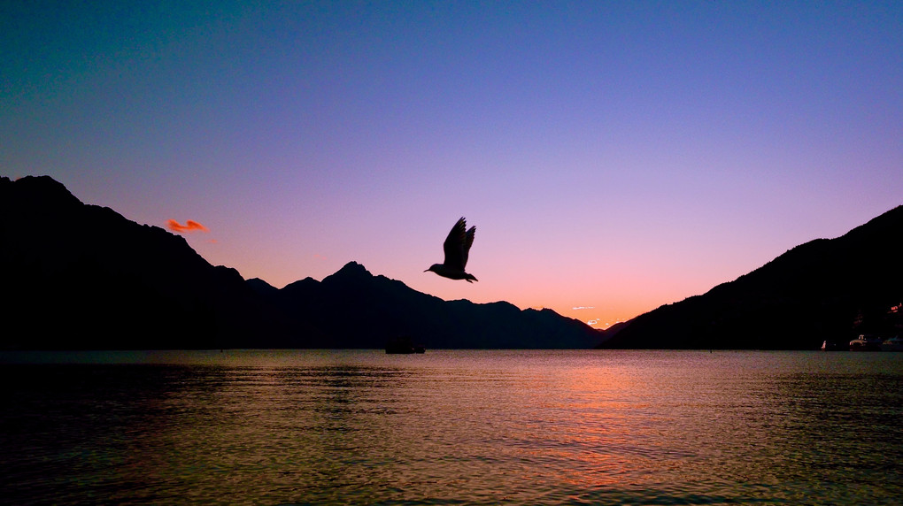 Silhouette in the sunset