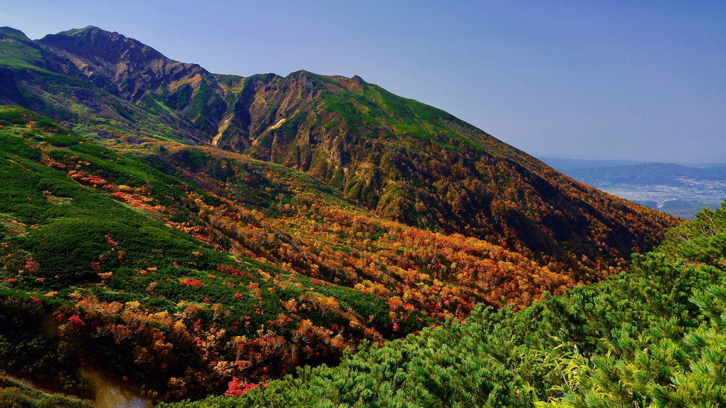 錦を纏った美しい山〜富良野岳