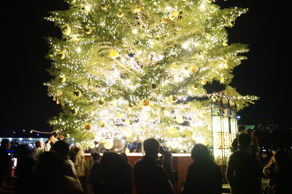 横浜赤レンガ倉庫 クリスマスツリー